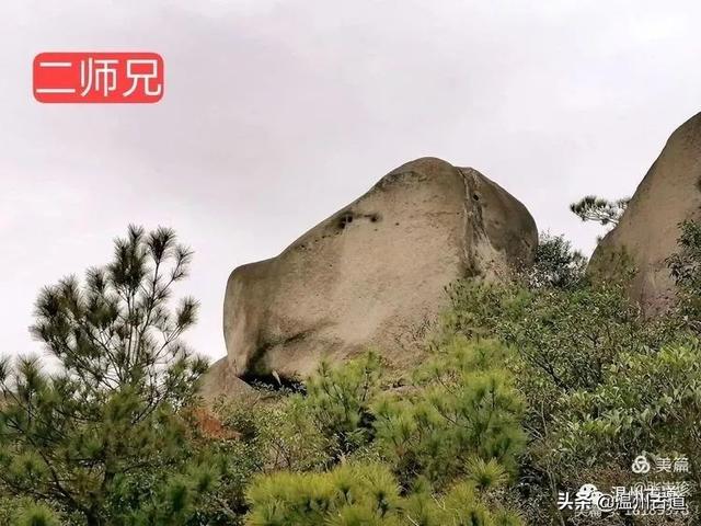 大羅山有處二師兄奇石，惟妙惟肖，你可找到過？