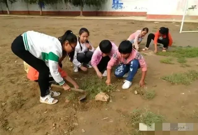 为什么孩子不会做饭？学校开设做饭课程背后，家长们又该做些什么