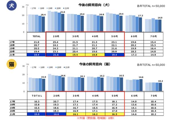 宠物狗市场