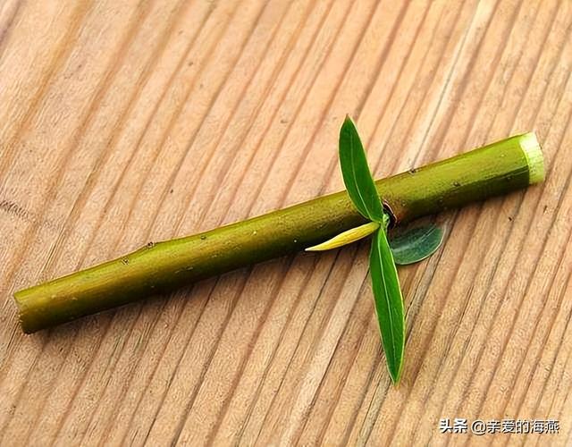 越长大越怀旧！致敬60、70、80后的纯真童年，永远回不去的青春