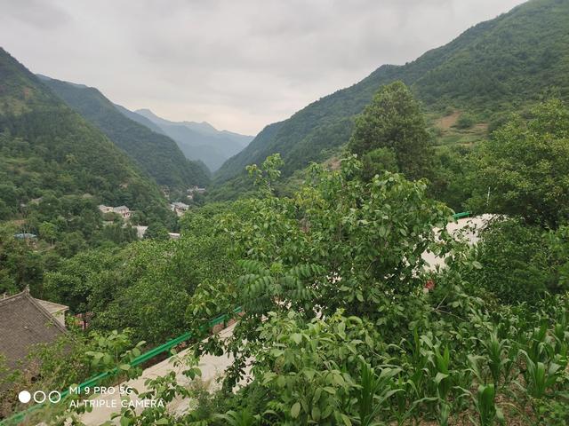 走進秦嶺大山，方悟出生命的源頭恰在山水間