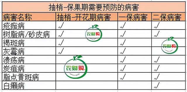 「花期病害手册」打药需时机对！哪些病花前防？哪些保果期防10