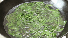 这6种“千金菜”，天然叶酸高！中老年人无论贫富，春天要多吃