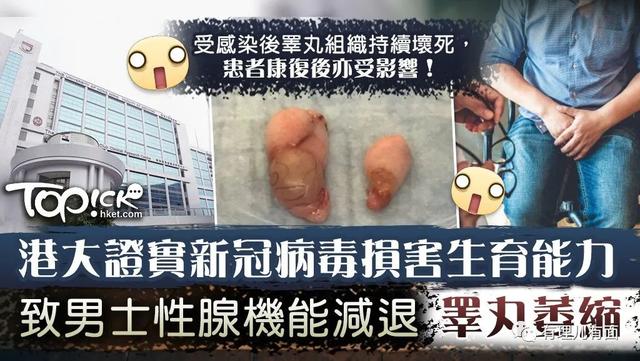 嫌内地医护不懂英文的香港医学会长，确诊了！