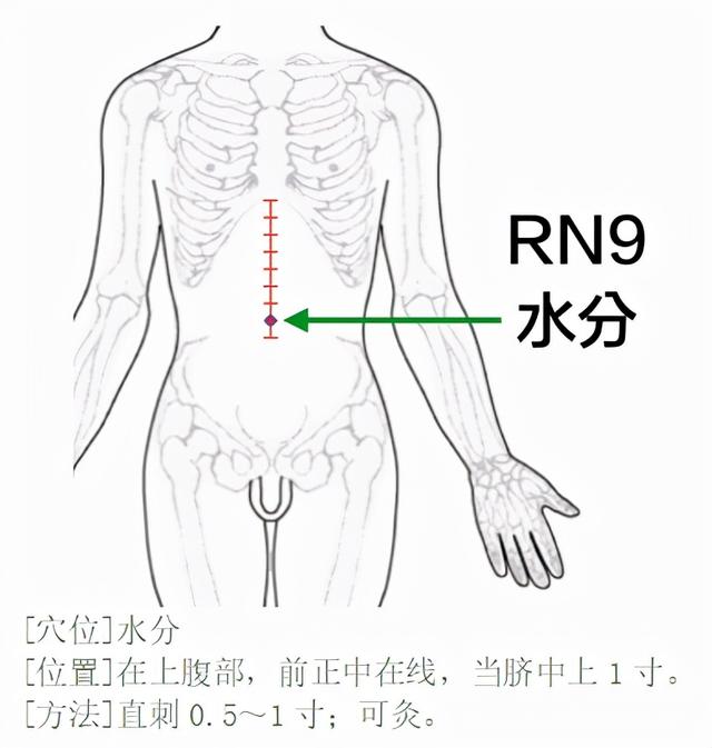 中医穴位，干货知识分享：任脉