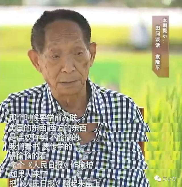 万小刀：清明节，怀念那个让我们吃饱饭的人