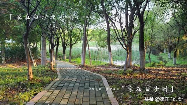 組圖 | 武漢地鐵5號線2期，沿途那些園林，逛一次少一次
