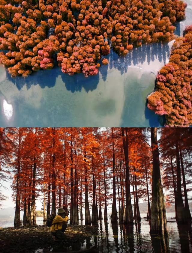甯波冬季出遊攻略，這三處撩動心弦的美麗風景，疫情過後一起去看