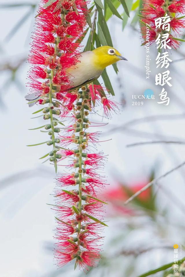 甘肃洗风化砂机哪里卖