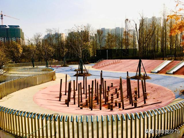 長沙唯一擁有戶外足球場的公園，更有大片水杉美景等你來