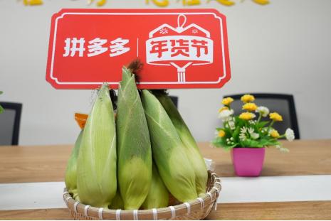 朝阳小型破碎机