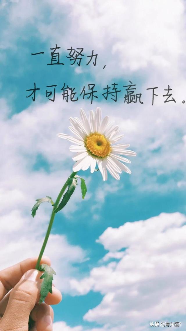 靠抄书逆袭的第23天：努力不是重点，努力常态化才是