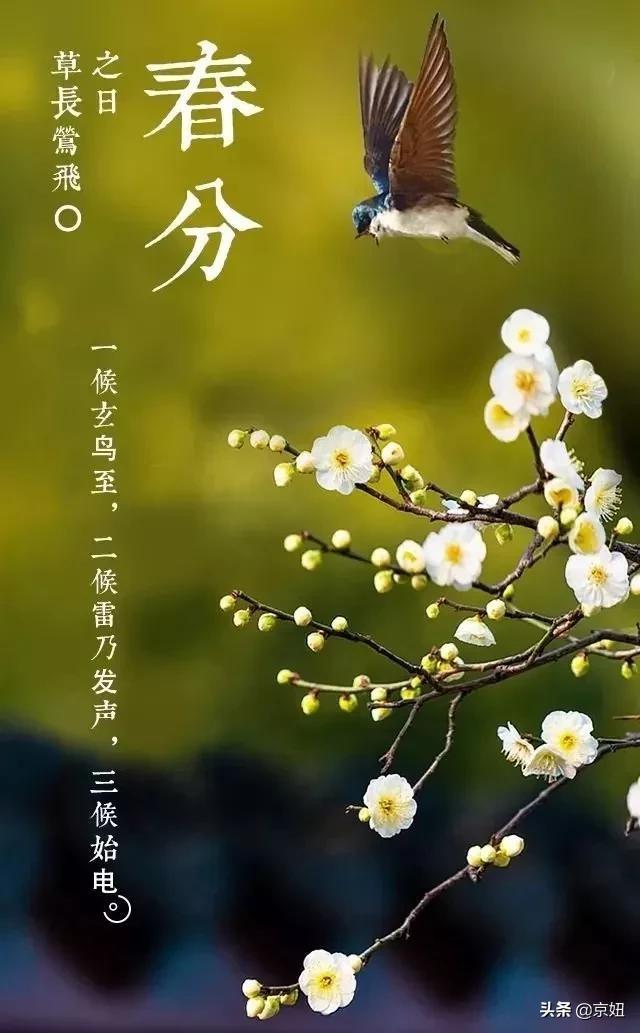 今天是个好日子，春分