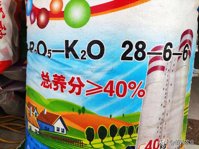 春耕期间，农资店老板经营亩产1800斤的玉米种子，靠谱吗？