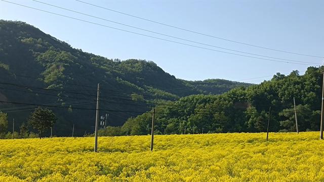 立夏之怡情小记