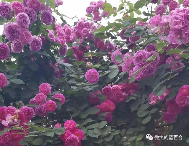 笑念时光安然，携暖与春深行