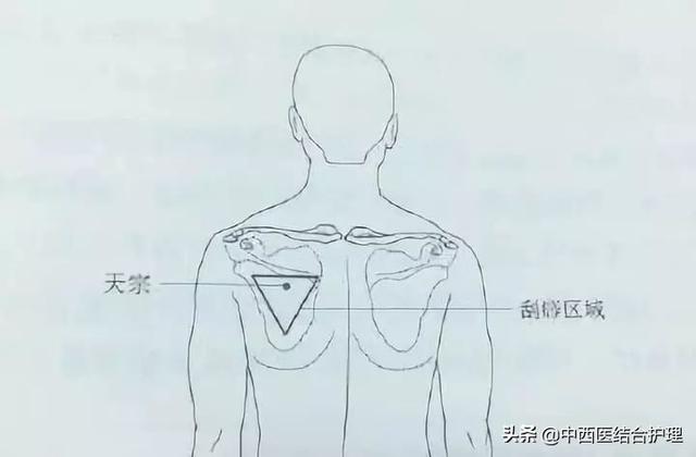 「经络养生」颈椎不好、肩背酸痛的人，要特别注重小肠经的疏通
