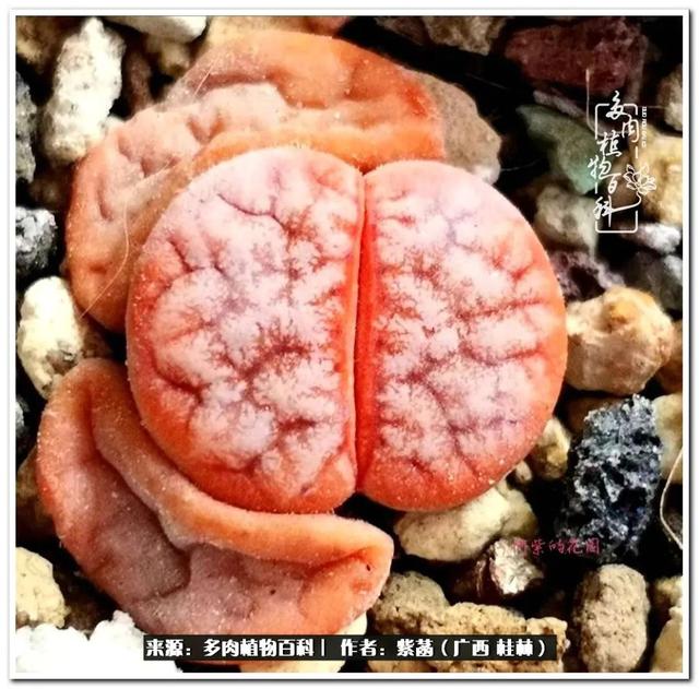桂林滚筒式洗砂机厂家