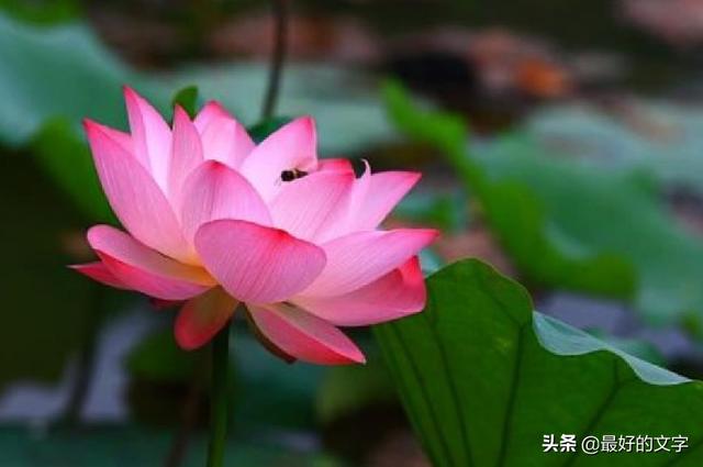 当你难过时，打开看一看！（深度好文）