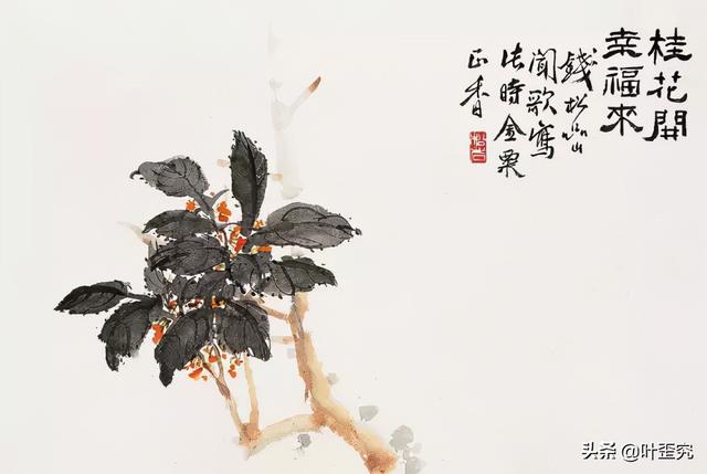 11月开什么花