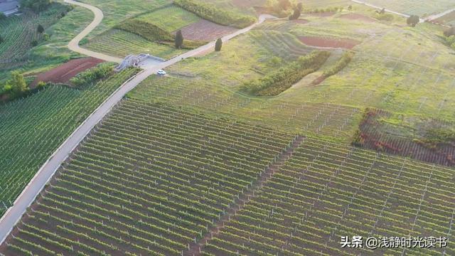 人到中年，4个地方不宜久留，早点回家才是明智之举
