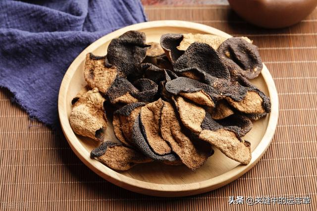血脂高？多源于脾肾阳虚，送你六味中药，温脾肾、祛痰浊、化血瘀