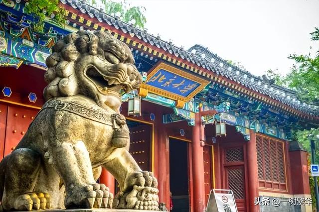 北大中文系教授上热搜，写116字微博有12处语病，教授：很努力了