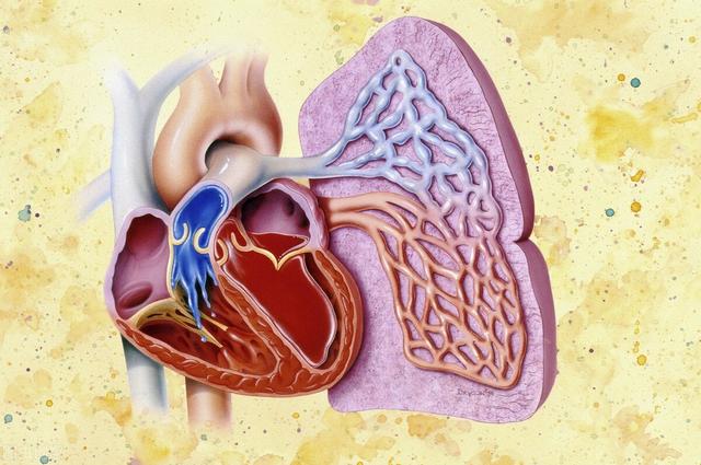 女子生完娃十几分钟，以为没事了，直到心肺复苏后医生：大意了