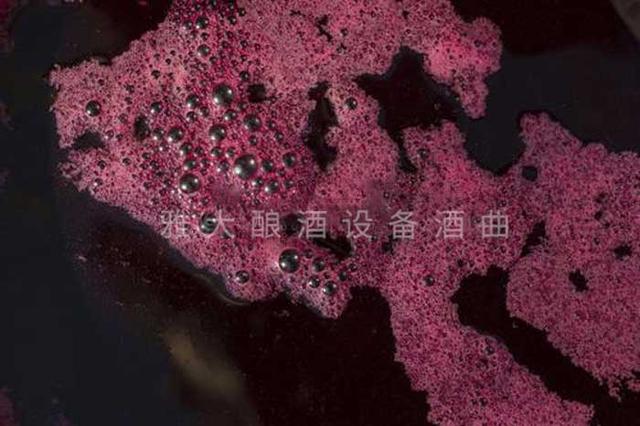 辽宁省果酒浑浊过滤机