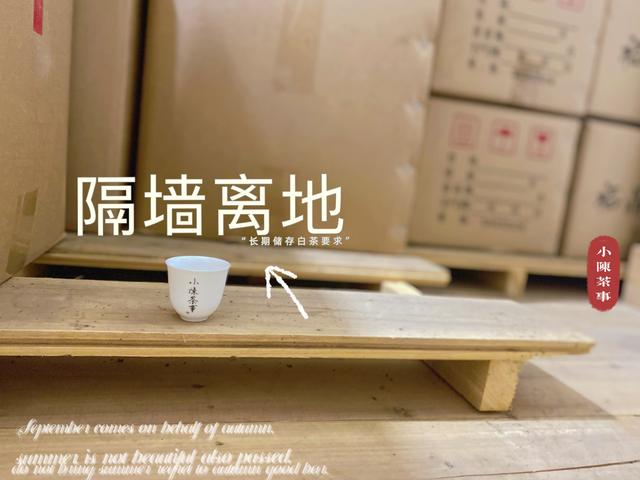 白茶晒一晒，防潮又提香？别傻了，再这么存白茶就废了
