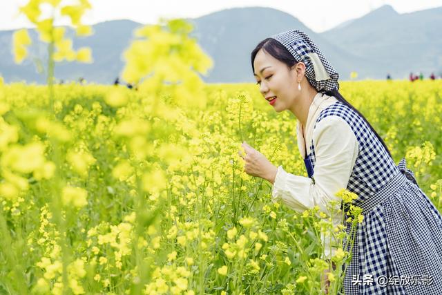三月花簇簇 平和村油菜花开了 新闻时间