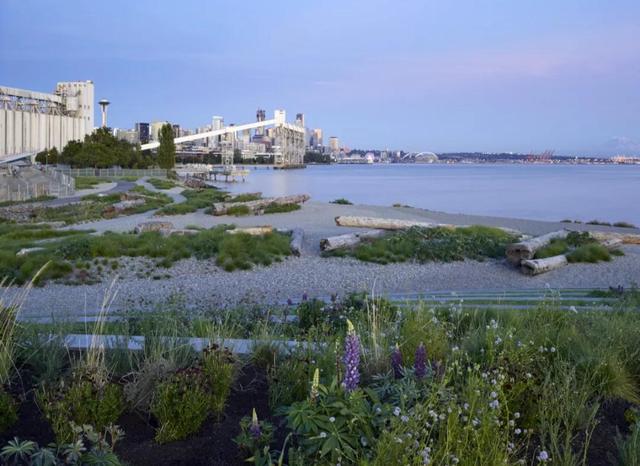 Expedia集團開發的濱海公園，讓遊客沉浸在自然沿海景觀中