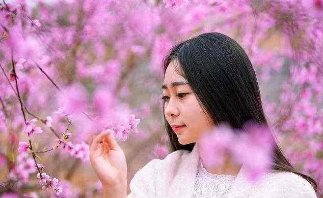梦中那一片桃花林