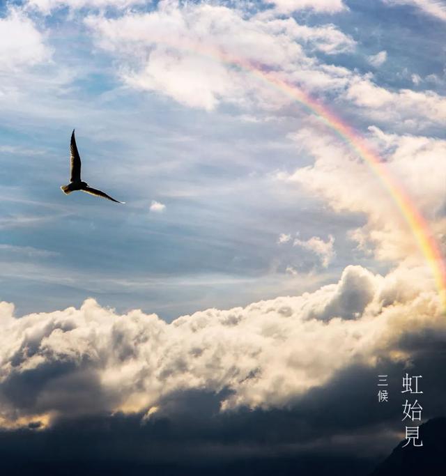 清明时节，如何喝茶养生