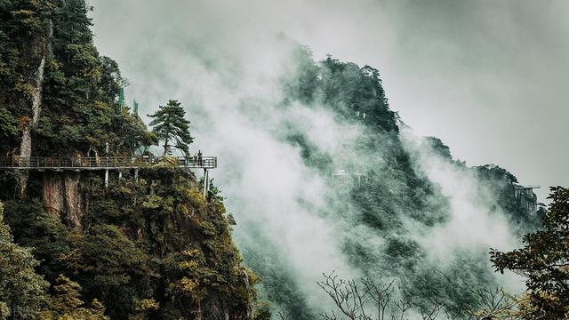 如果人生失意，请读读杨绛先生