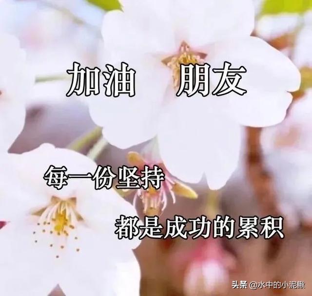 最经典早安语录句子2022，分享早安励志语录合集