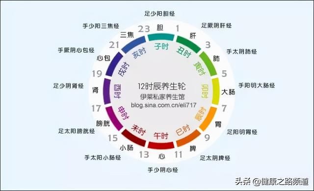 十二时辰对应脏腑图