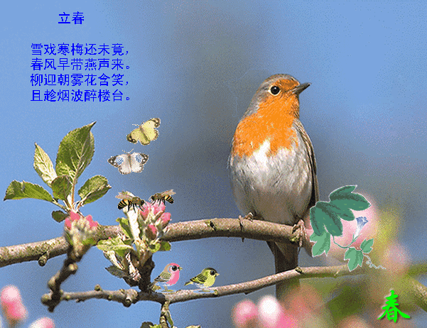 今日立春 春暖花开喜上眉梢图