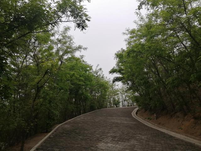 留住春日美景