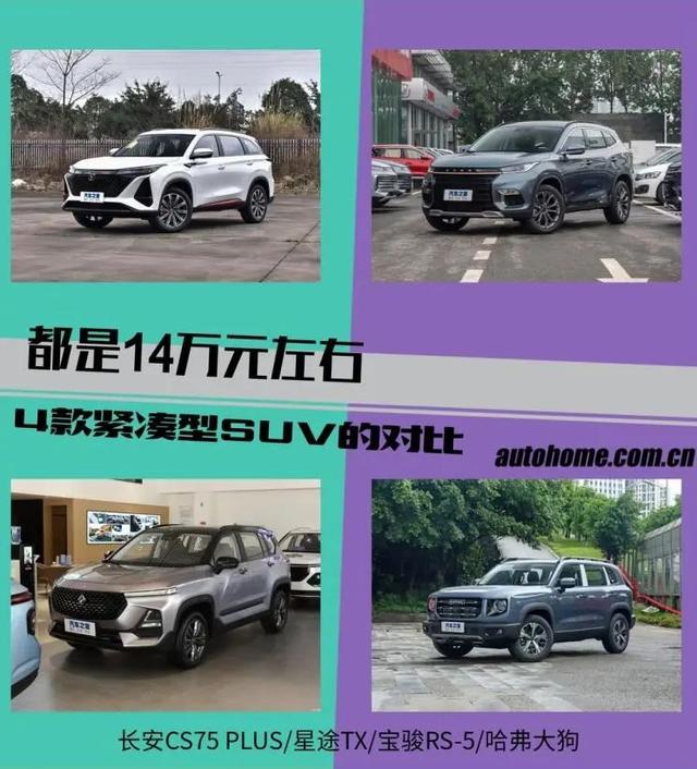 十大国产越野车（十大国产越野车最新款）