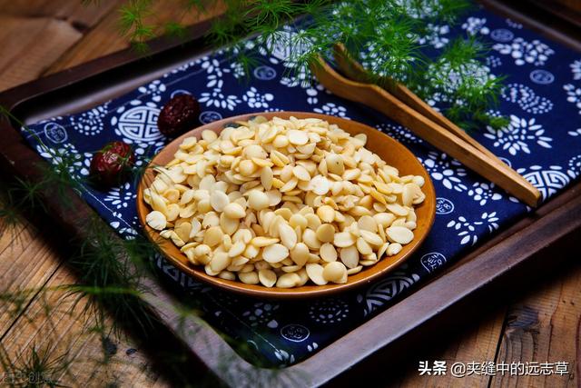 血脂高？多源于脾肾阳虚，送你六味中药，温脾肾、祛痰浊、化血瘀