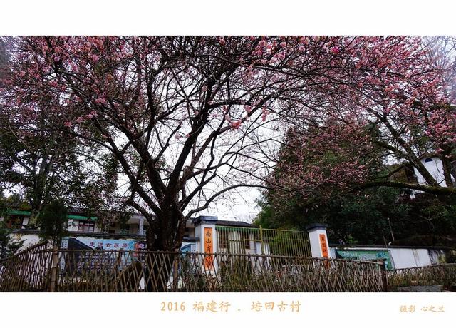山海畫廊人間福地（178）——培田古村（十三）
