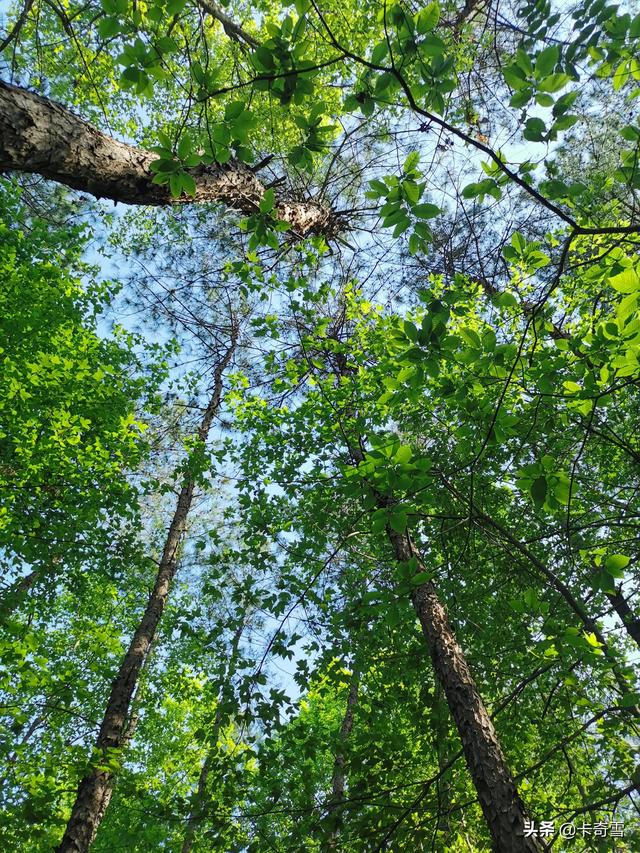 随手一拍就是风景