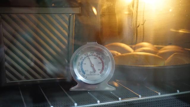 为什么更爱风炉烤箱？长帝大白鲸F40烤箱评测体验