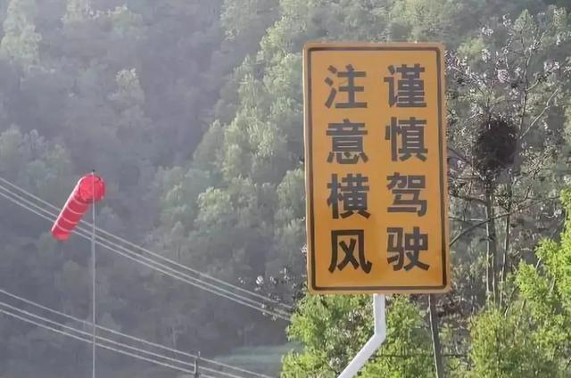 超速20%以内不再扣分，想跑140的朋友听我一句劝，事后会感谢我