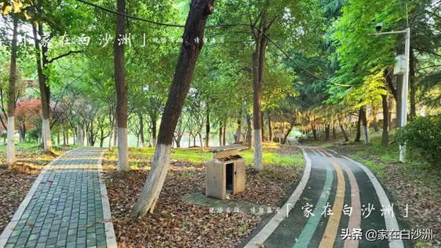 組圖 | 武漢地鐵5號線2期，沿途那些園林，逛一次少一次