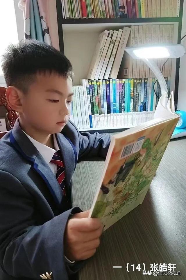 信阳市羊山外国语小学东校区：春光正好，听书香与少年的故事