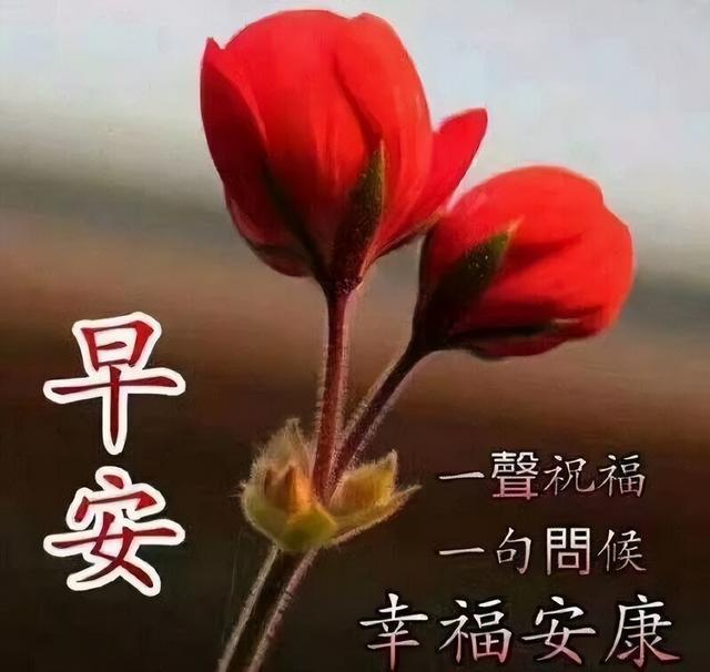 朋友圈早上好表情包 微信群发早晨好问候句子 真心祝福来问候，早安