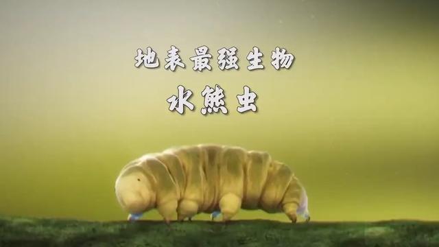 违背生命规律的生物有哪些？你知道跳出三界外的“太岁”吗？