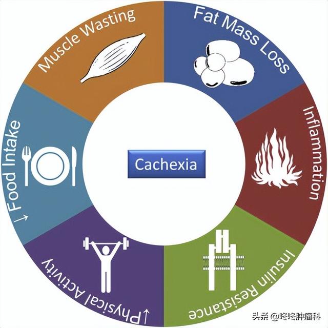 癌癥致命副作用惡液質有了新應對！補鐵有望大幅提升患者生存期
